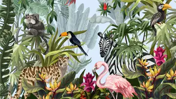 Animal Archetypes