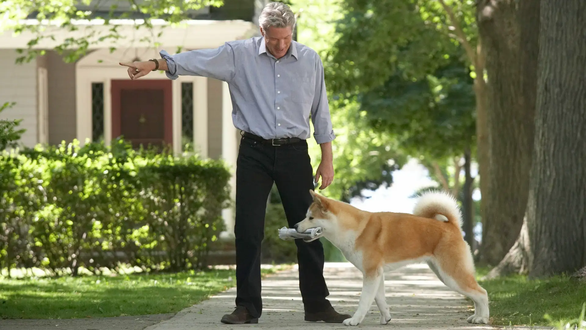 Hachi: A Dog's Tale