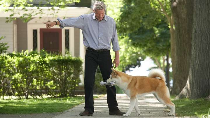Hachi: A Dog's Tale
