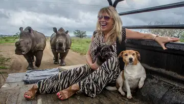 Can Elephants Really Love Humans?