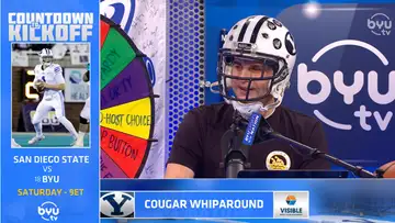 Cougar Whiparound 