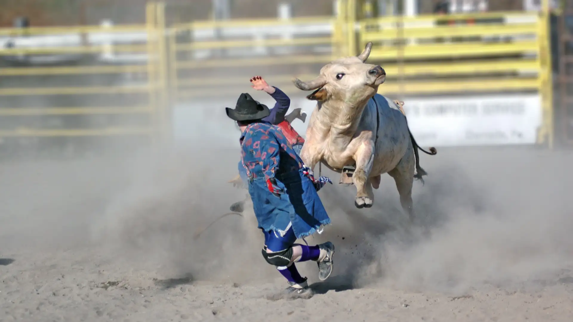 EXTRA: "An Old Rodeo Clown" by Donna Ingham