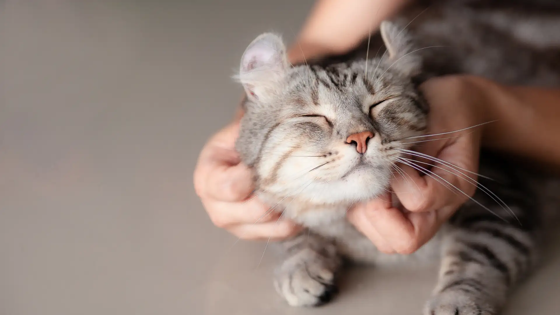 Radio Family Journal by Sam Payne