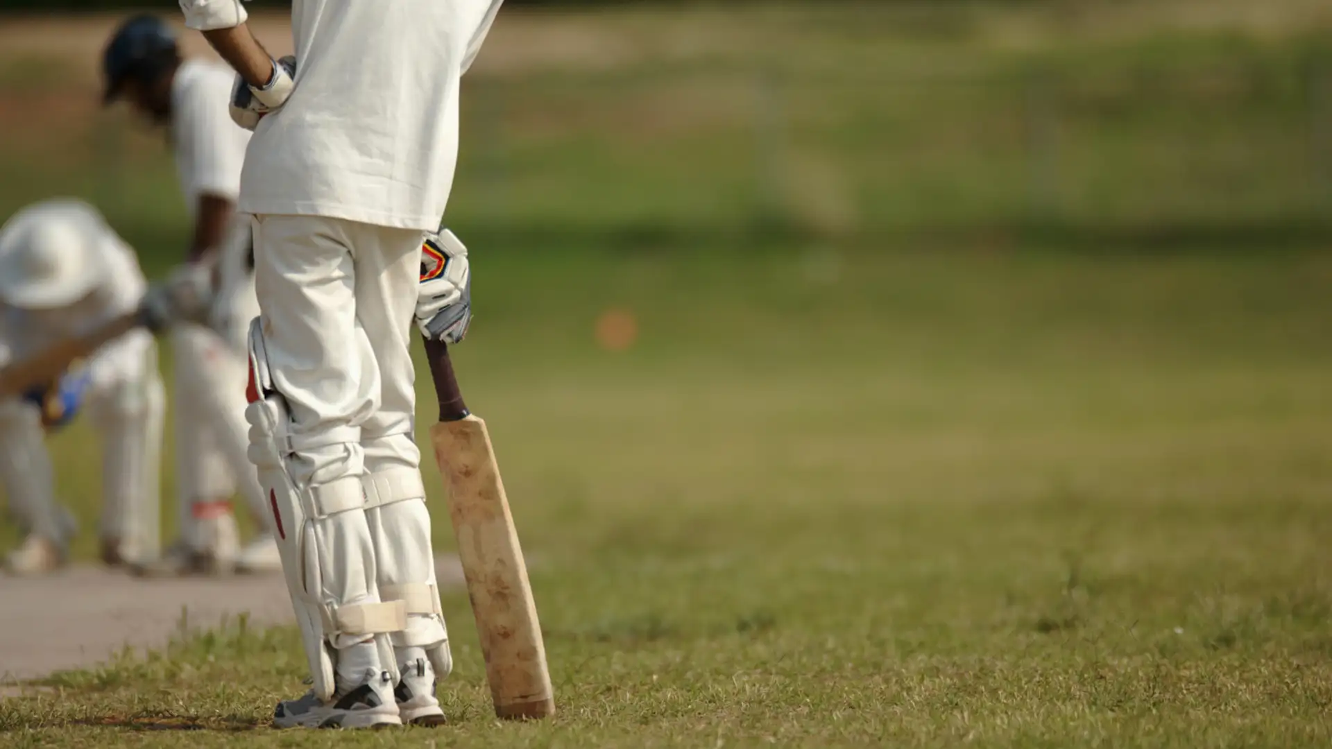 Cricket & Equality