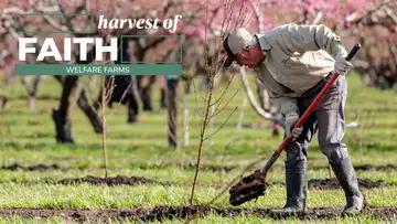 Harvest of Faith: Welfare Farms