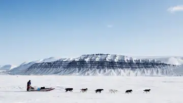 The Iditarod