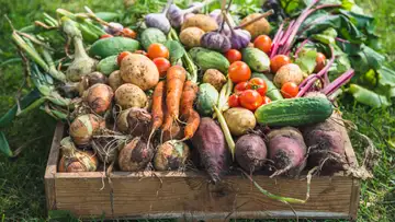 Harvest