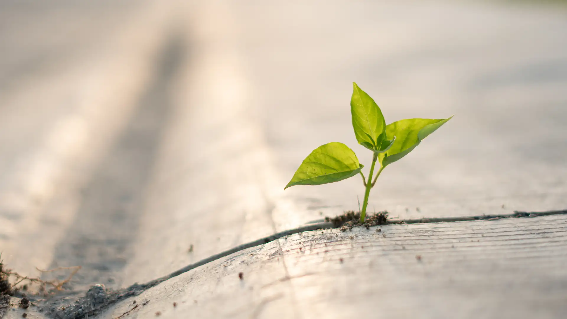 Practice What We Teach