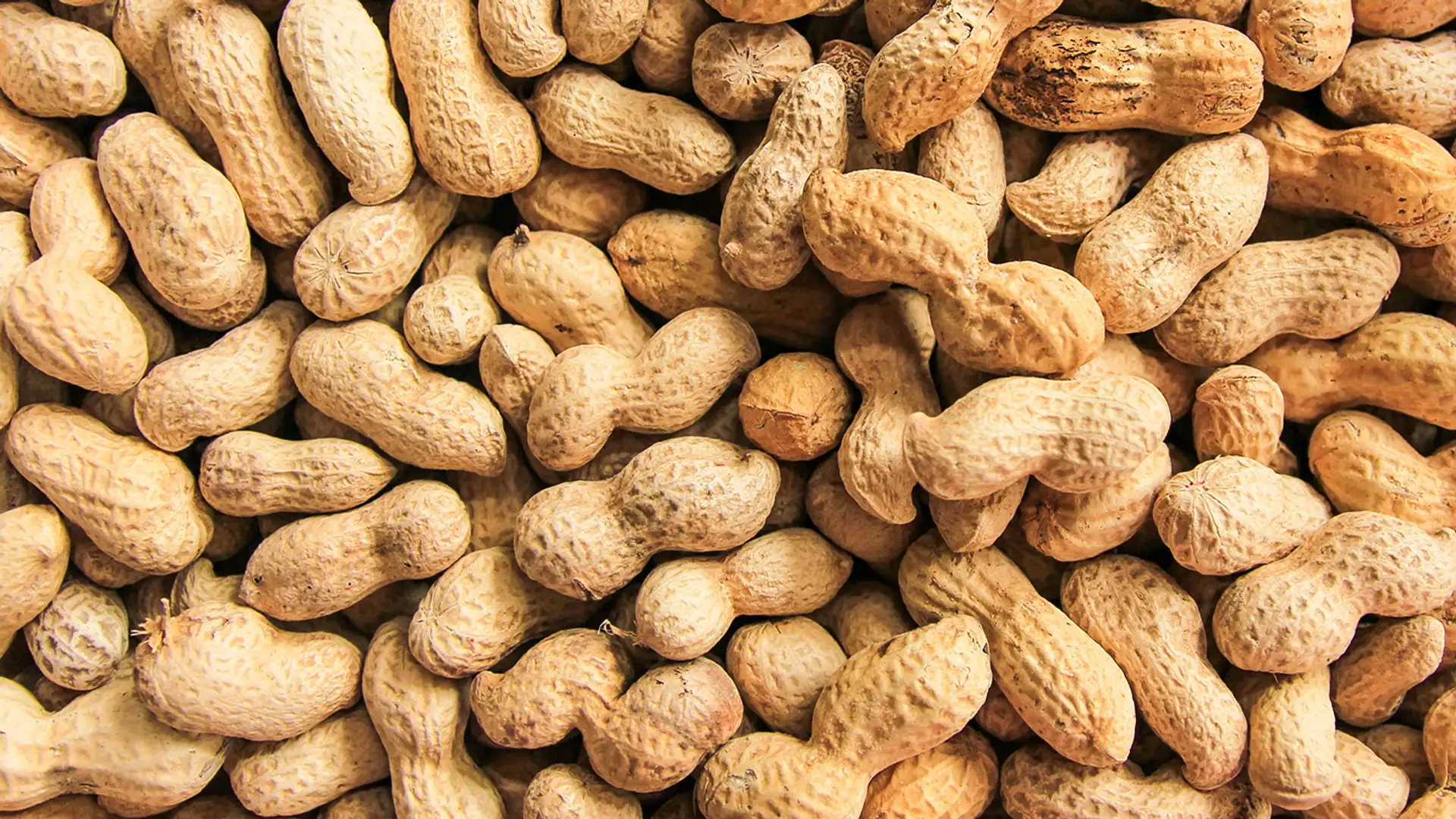 Peanuts and the Meaning of Life