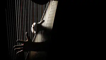 Harpist