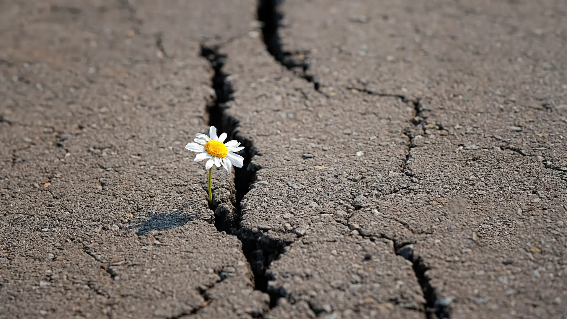 Christlike Resiliency