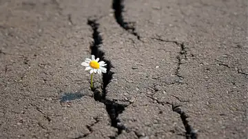 Christlike Resiliency