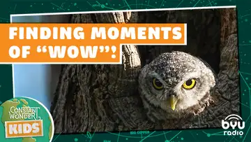 Finding Moments of “Wow!”