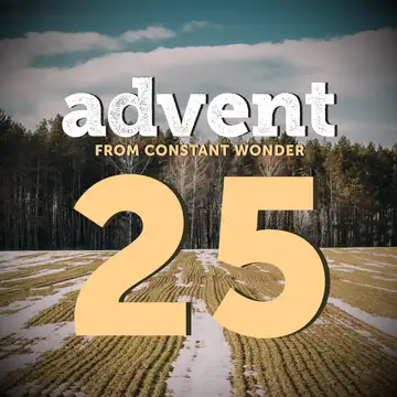 Merry Christmas from Constant Wonder - December 25
