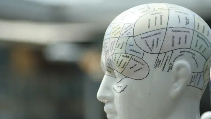 Phrenology: The Shape of the Skull and Moral Character