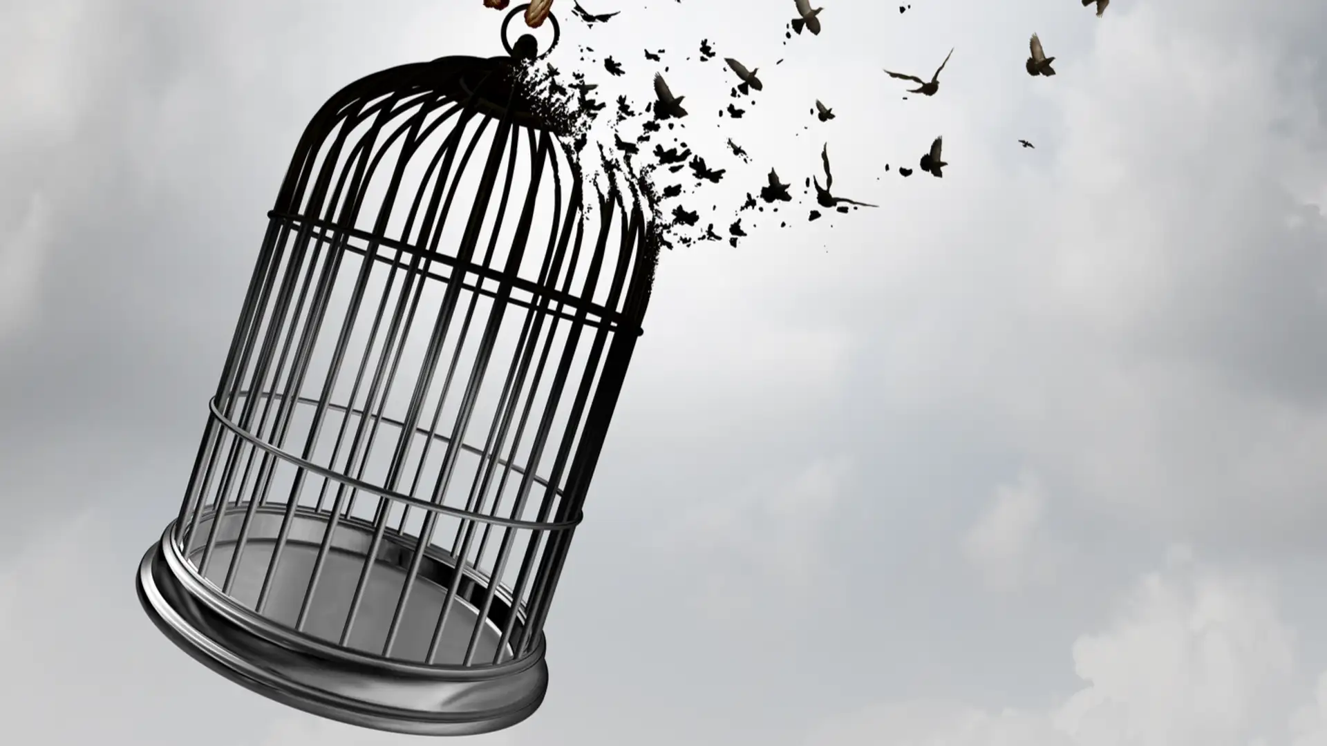 Free to Choose Liberty or Captivity - Paul V. Johnson