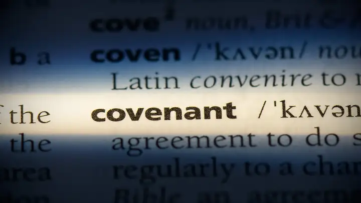 Ordinances and Covenants