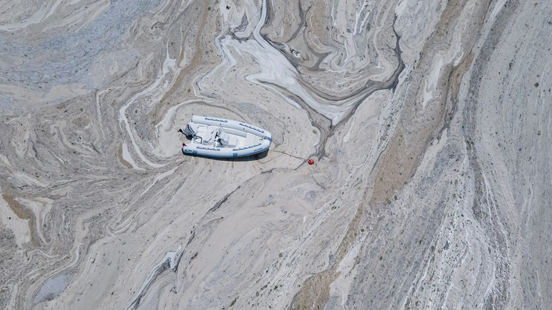 Religious Freedom Ruling, Vine Robots, Sea Snot