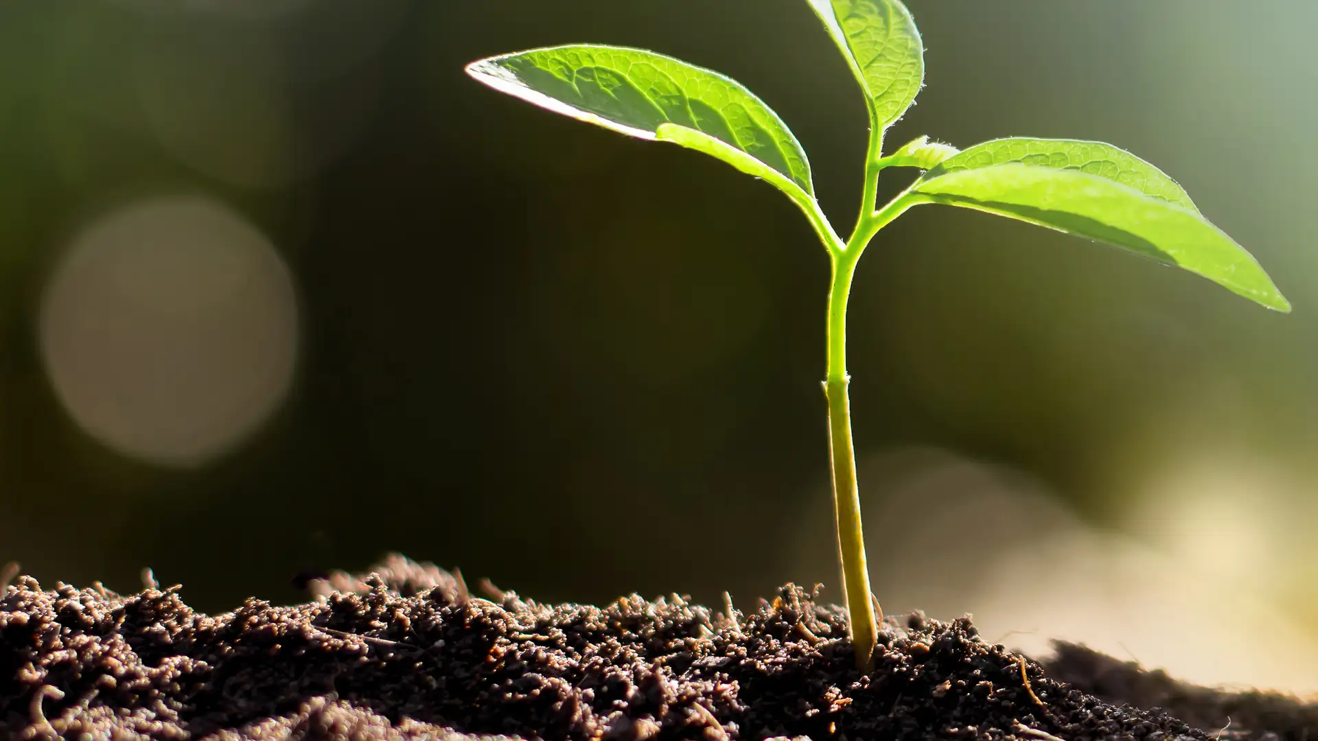 TRAILER: In Good Faith Podcast