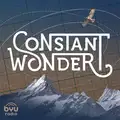 Constant Wonder