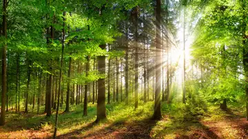 That All May Be Edified