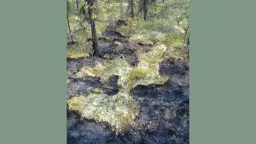 Zombie Fires