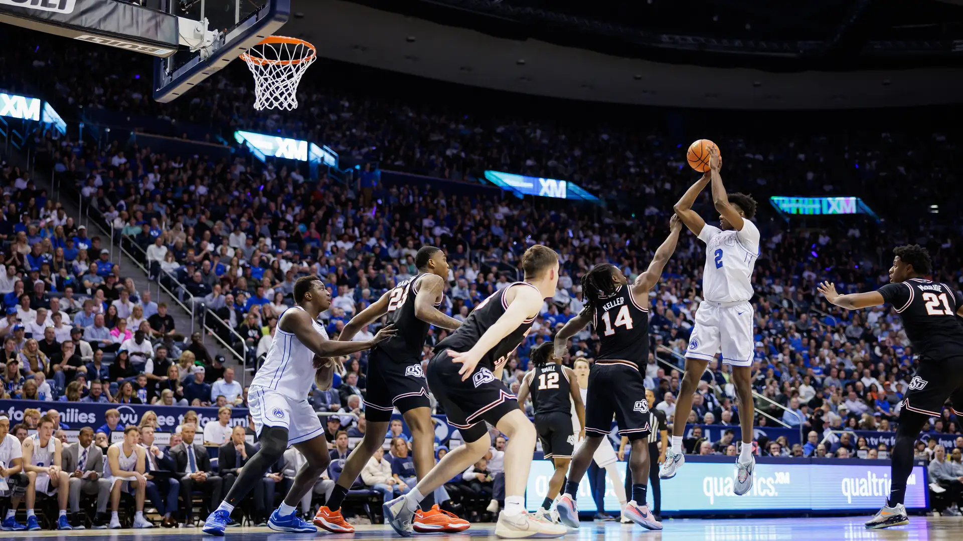 International Signings with Travis Hansen (5-30-24)