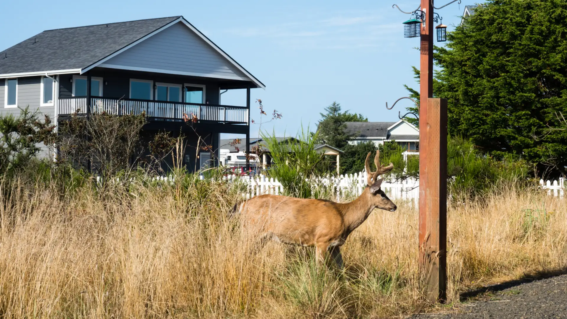 Healthy Habits and National Wildlife Week