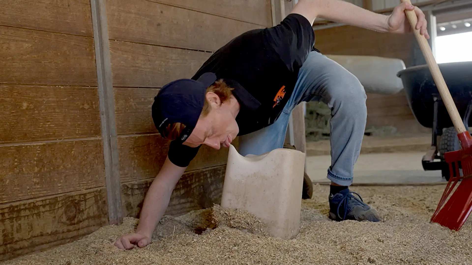 Horse Trivia with the Masked Rider