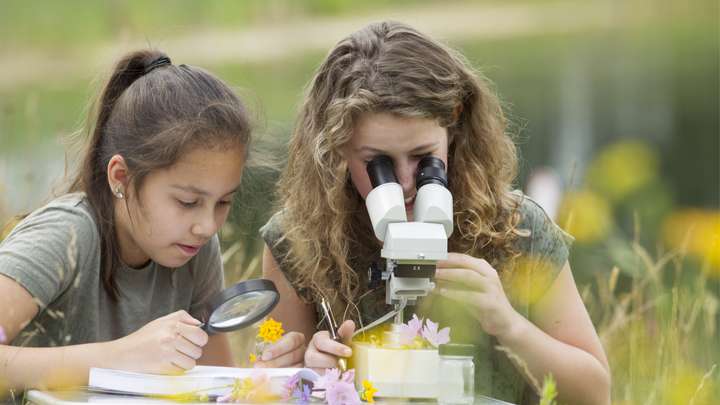 Girls in Science, Live Theatre