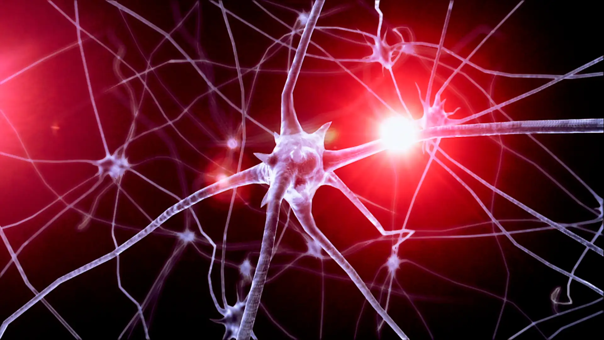 Shocking the Brain Through Implants Significantly Increases Short-Term Memory
