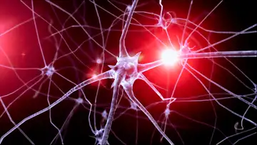 Shocking the Brain Through Implants Significantly Increases Short-Term Memory