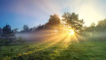 Pure Love of Christ