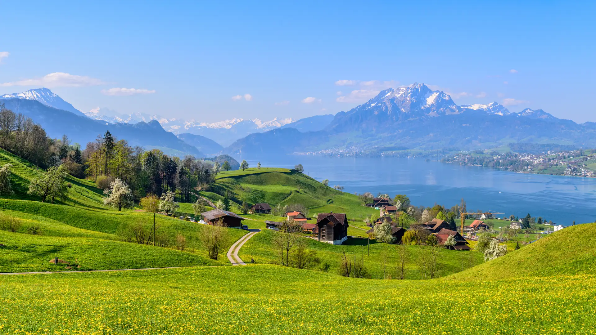 Learning to Ask as well as to Thank