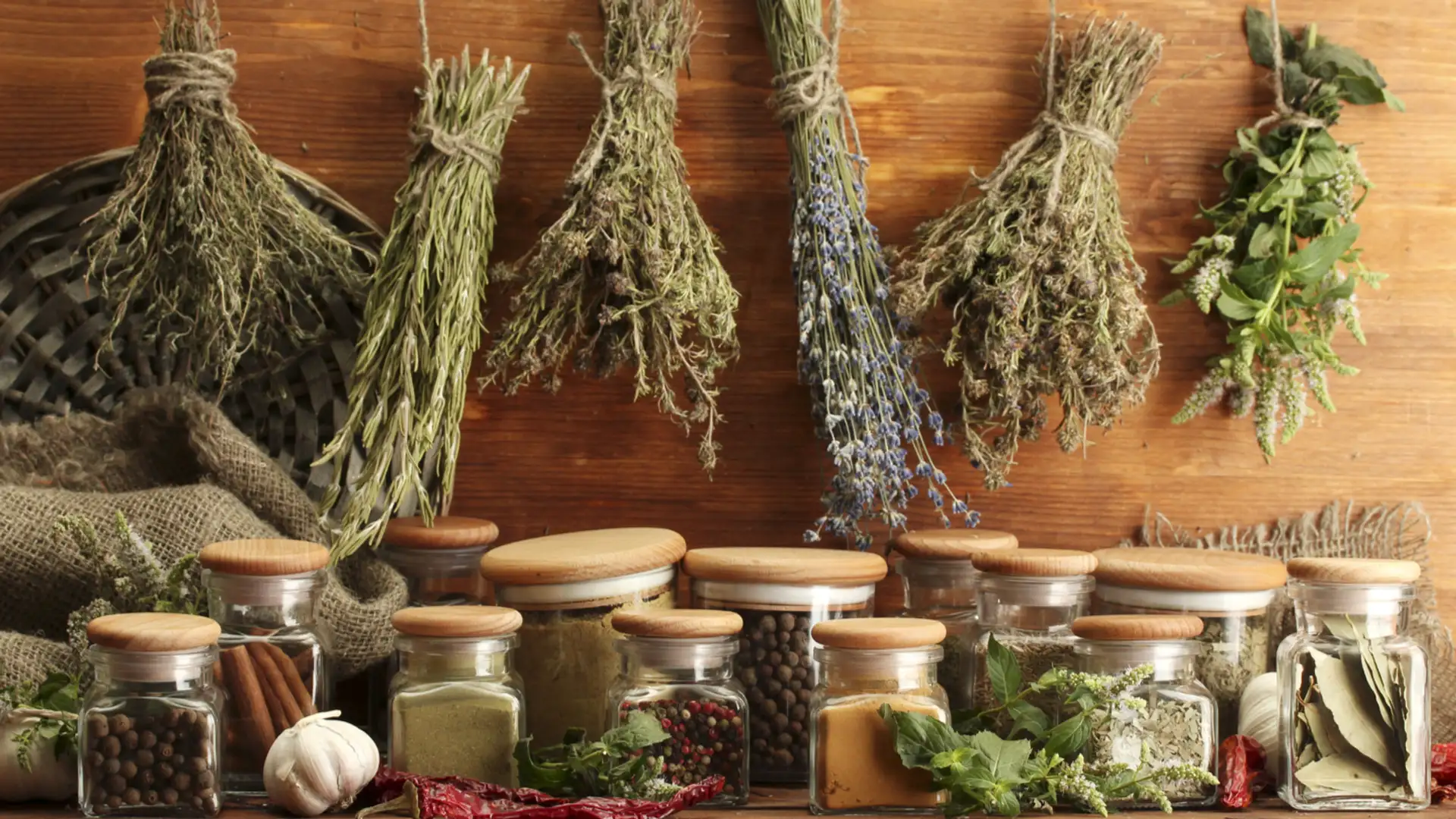 The Kinship of Plants and People