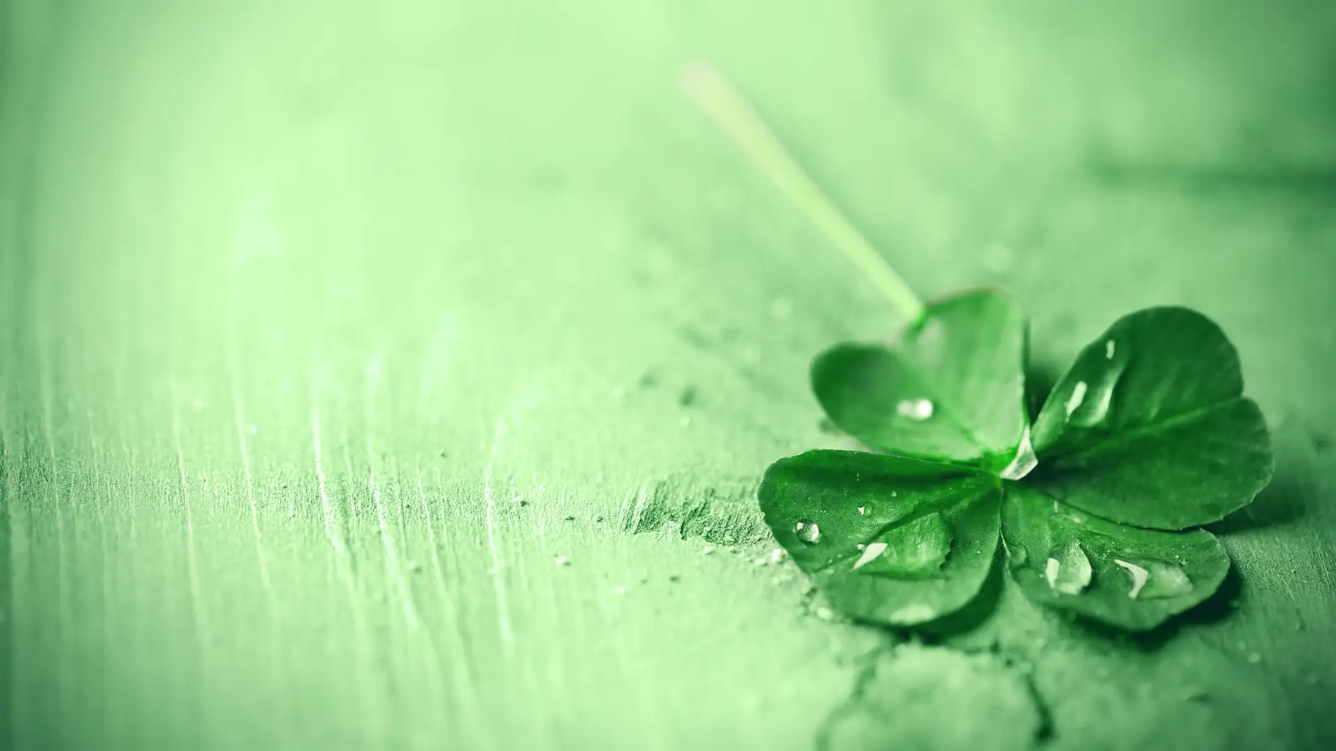 A Likely Story by Nuala Hayes