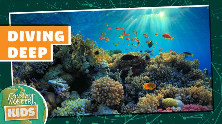 Diving Deep