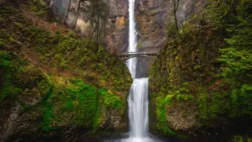 Learning From the Land