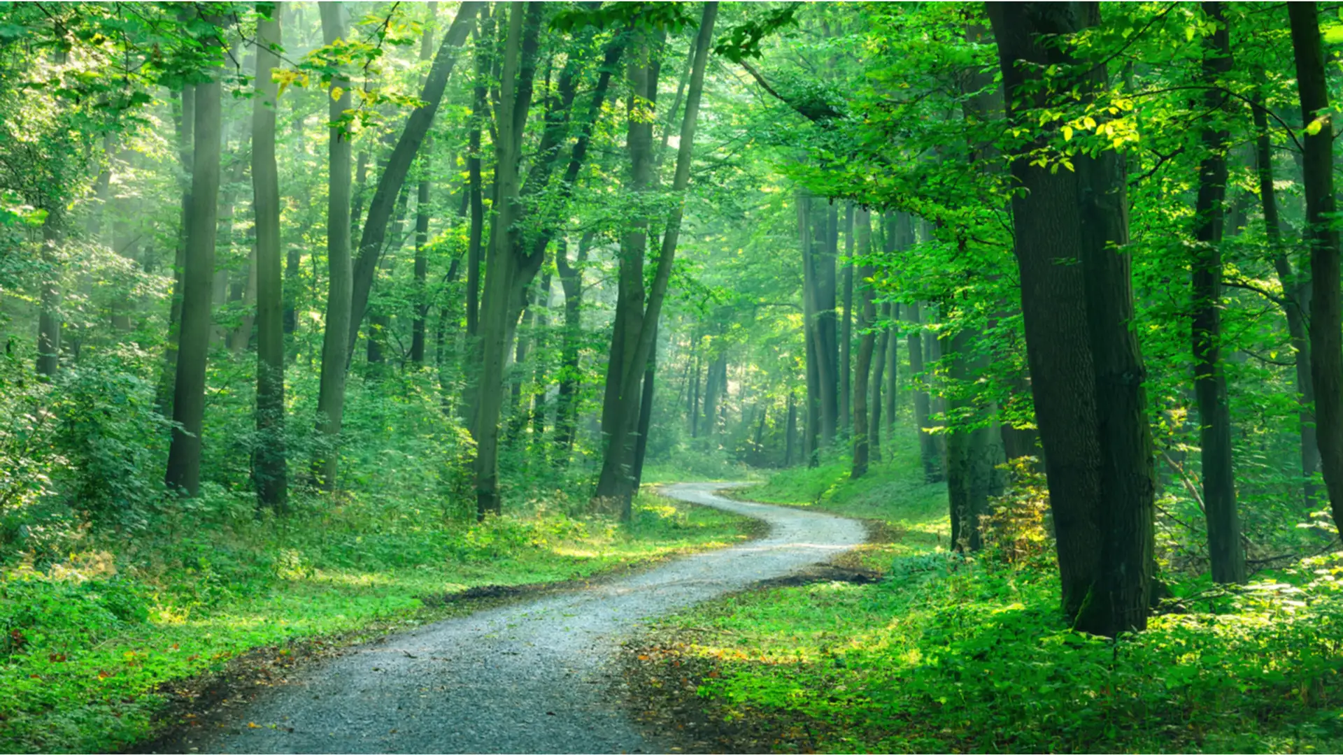 Participating in God's Plan of Happiness