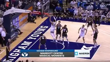 Cougar Whiparound