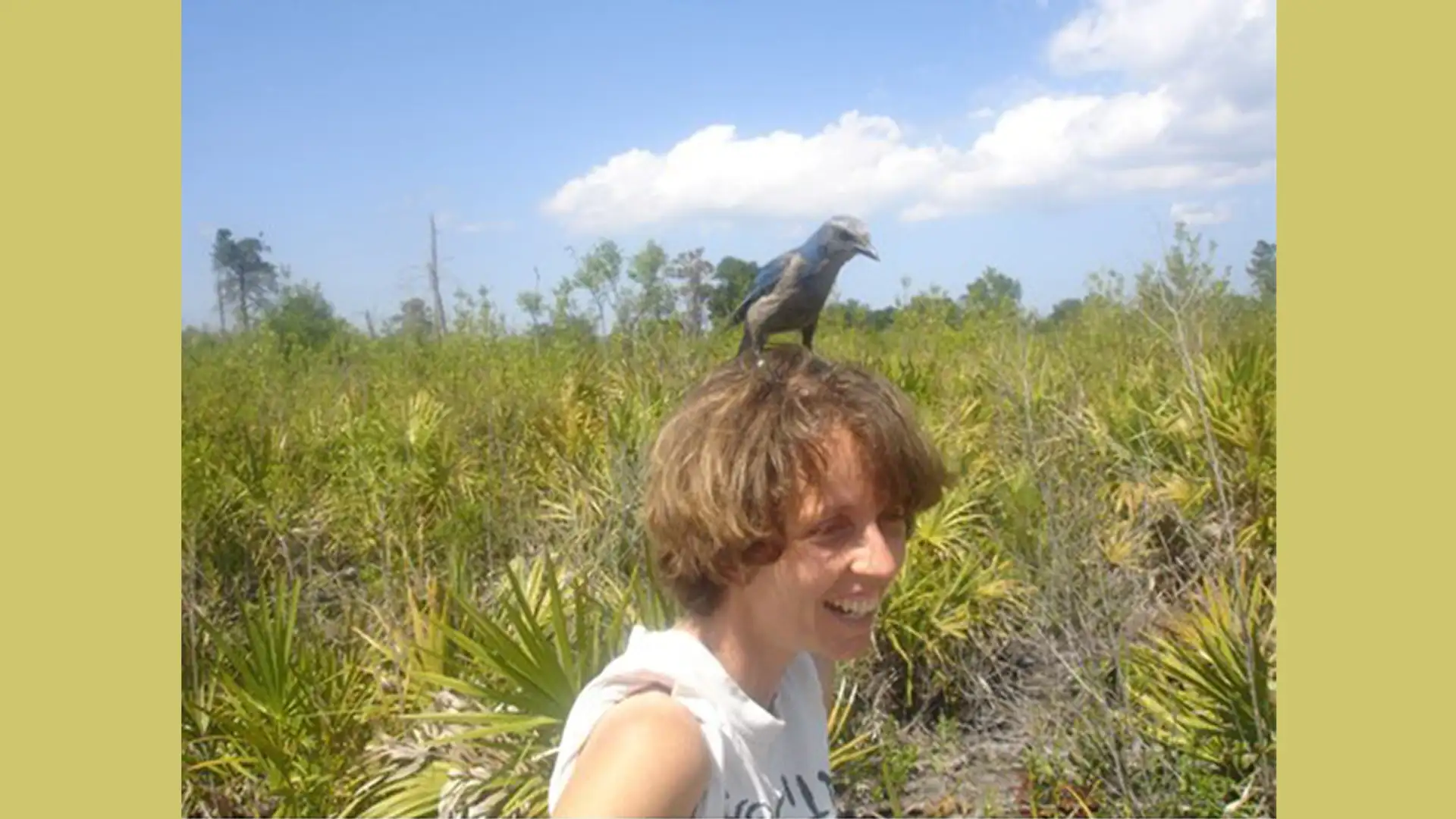 Which Endangered Species Do We Save?