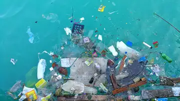 Change Your Worldview When You Pick Up Trash