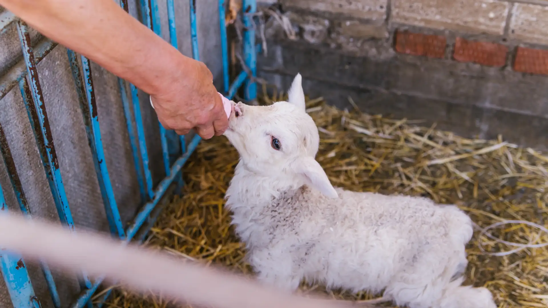 Looking Outside Ourselves