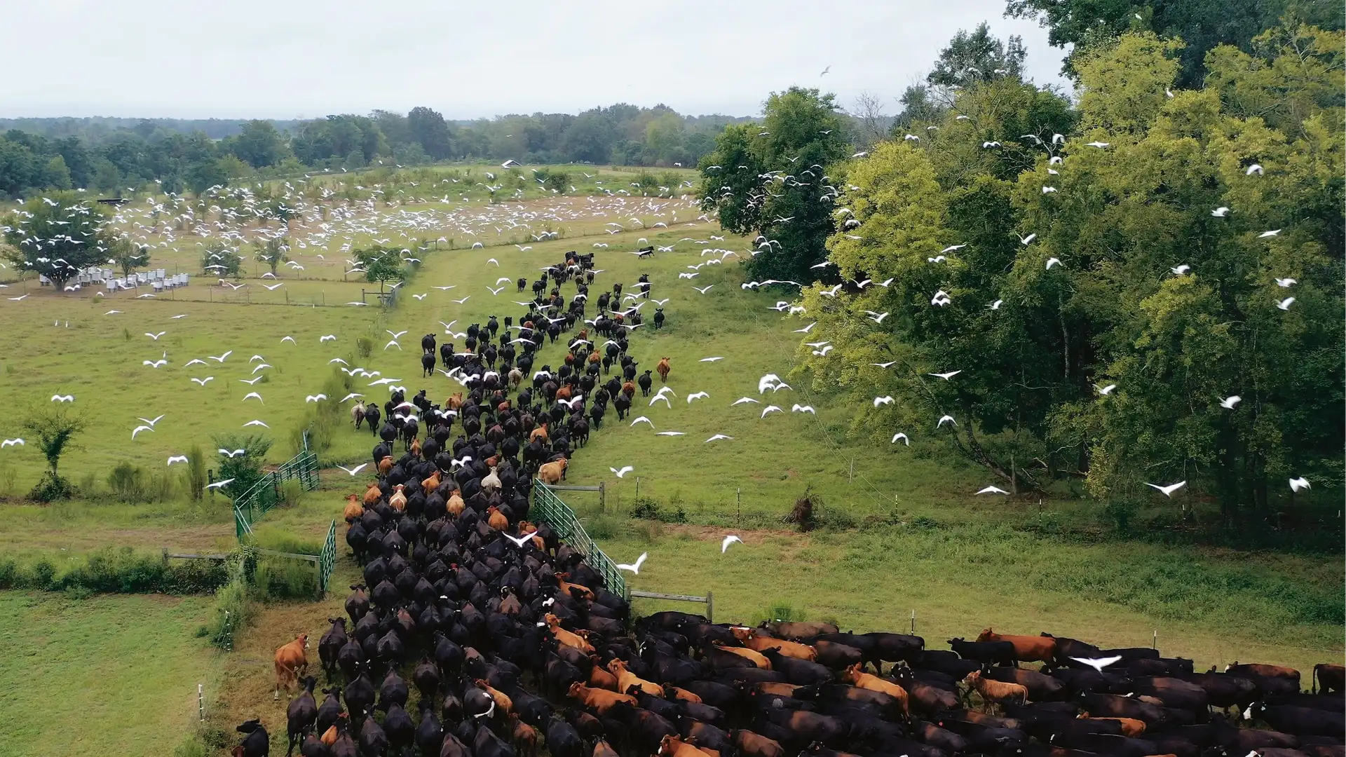 How Farmers Show Their Love for the Land