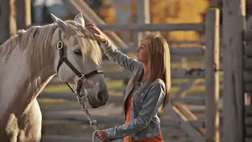 Gift Horse