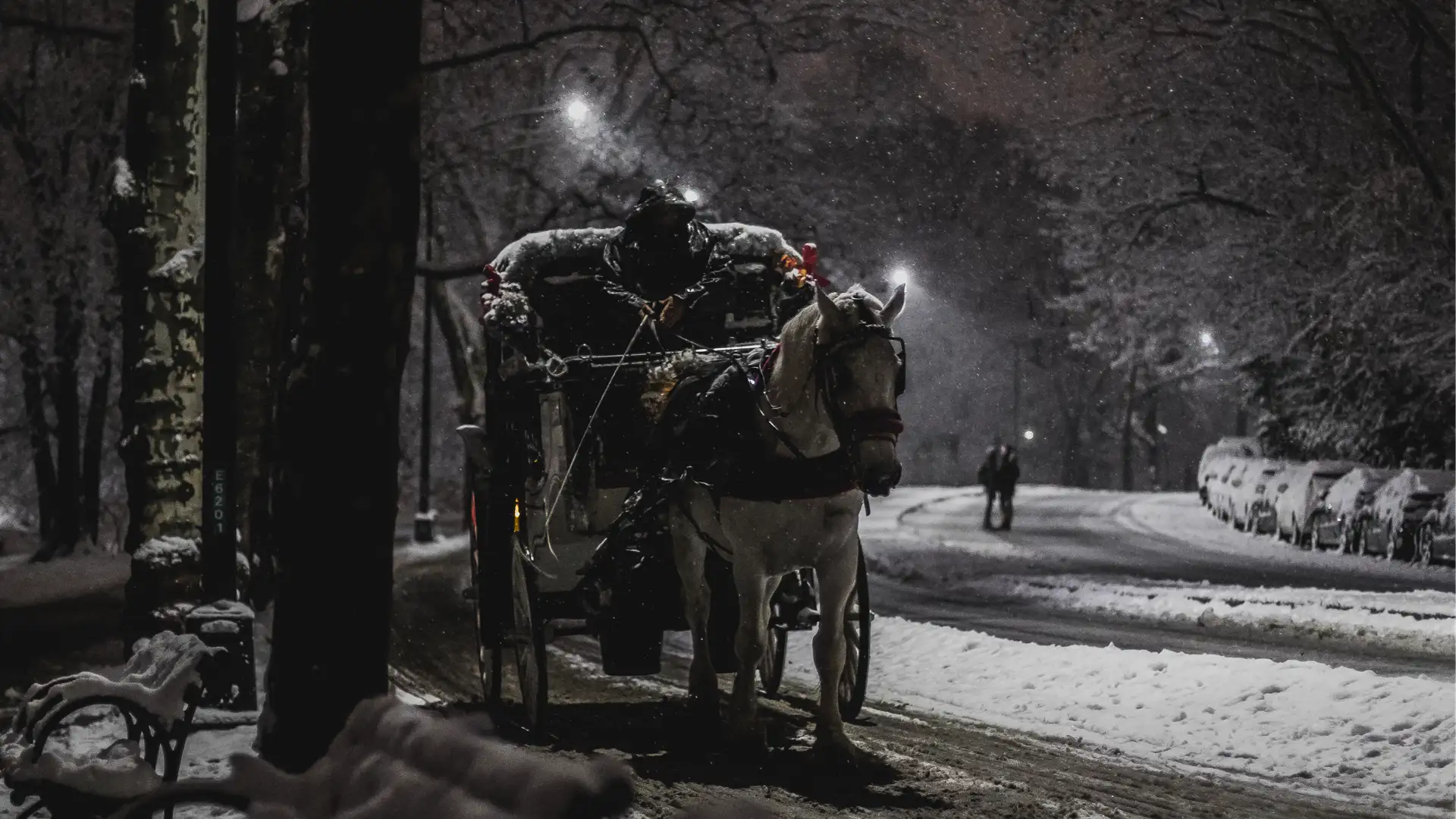 A Chekhov Reader's Theater