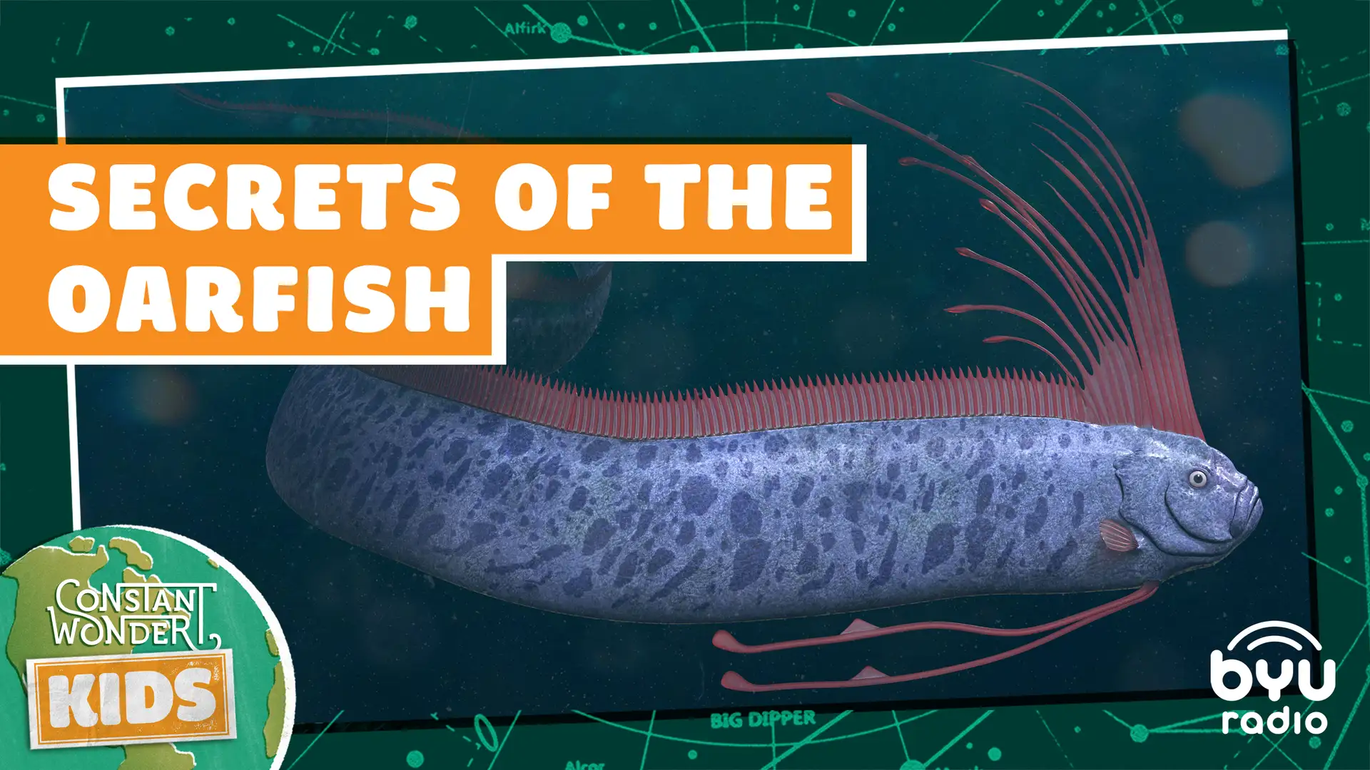 Secrets of the Oarfish