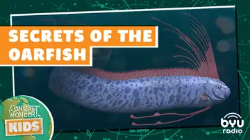 Secrets of the Oarfish