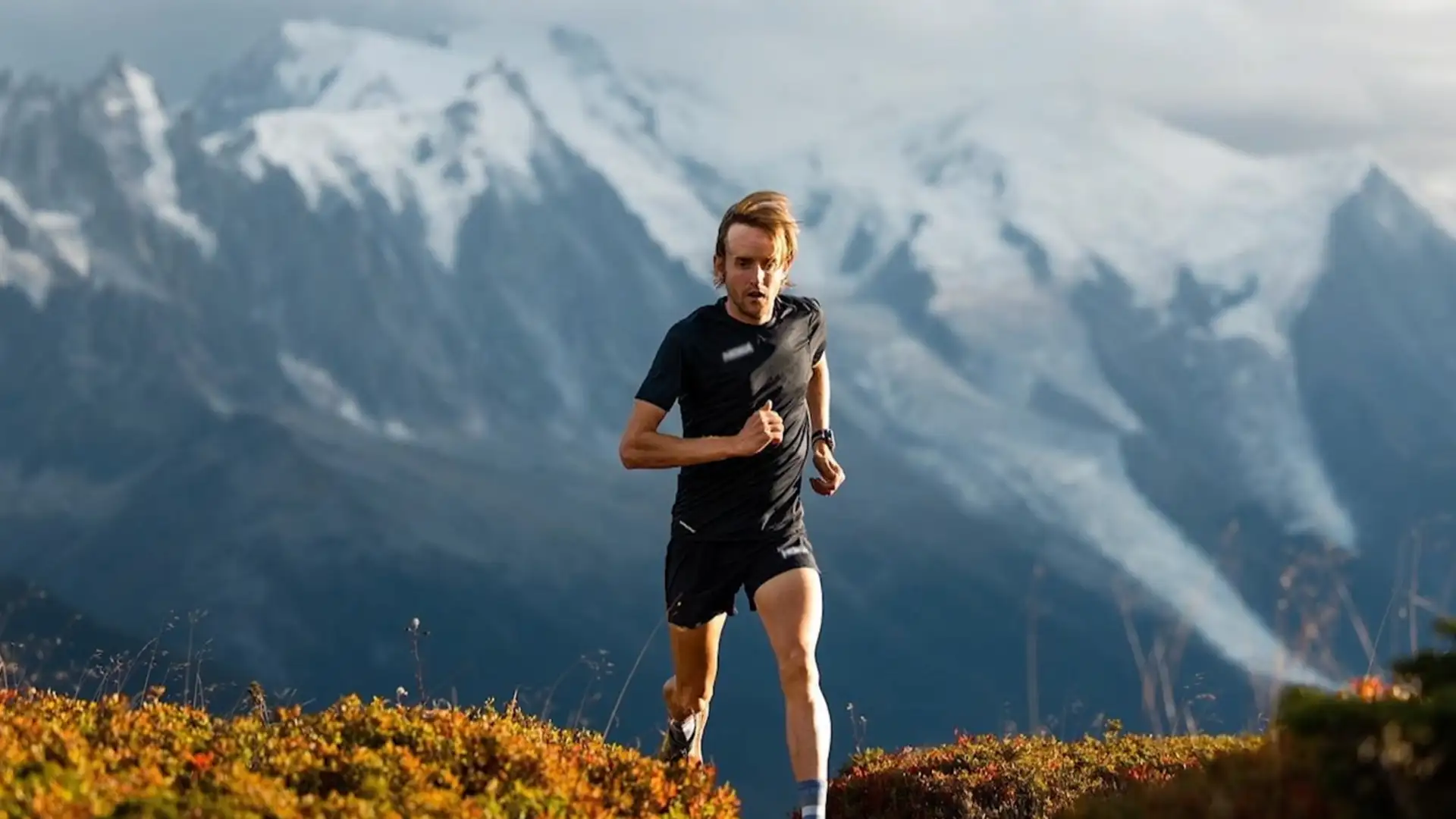 Hayden Hawks: All Heart