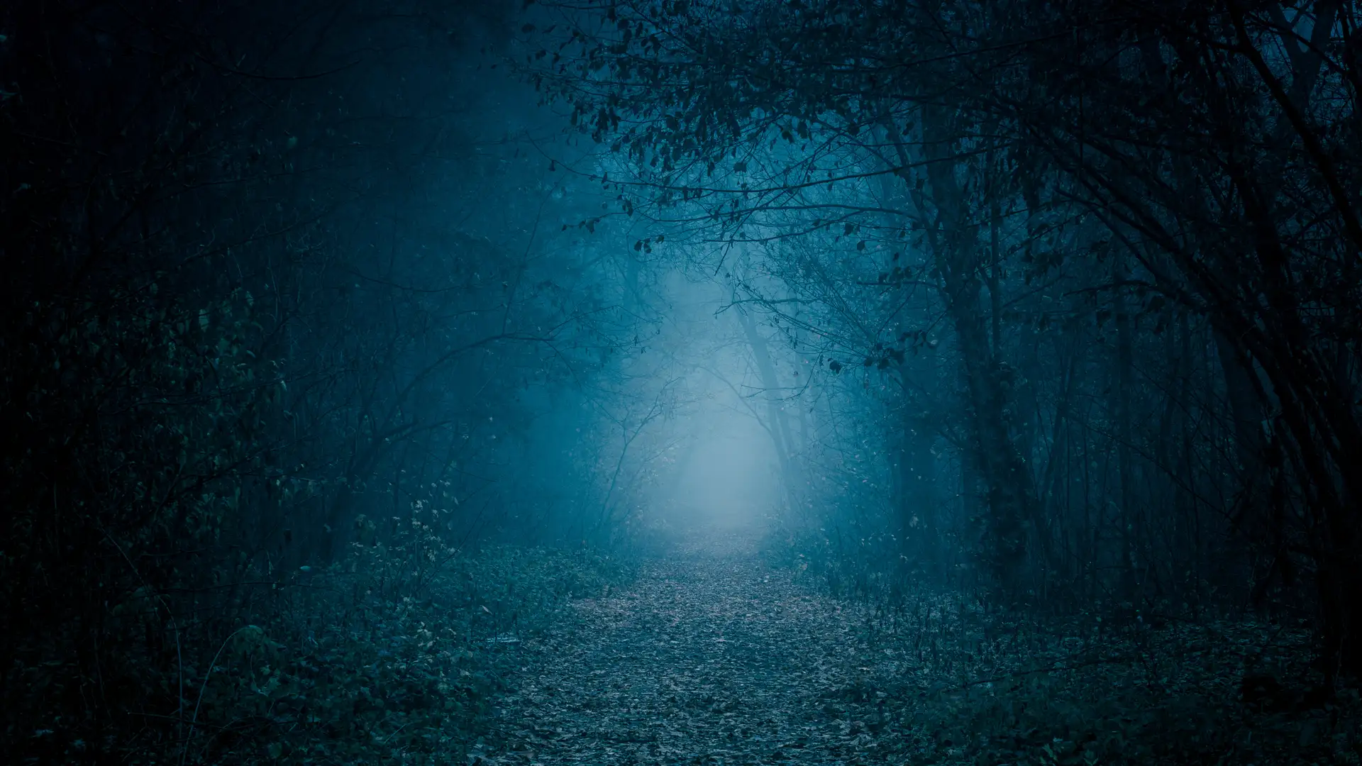 Twisted Fairy Tales